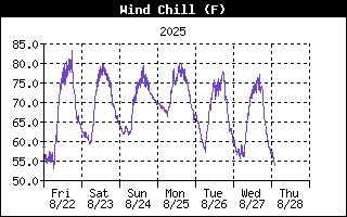 Wind Chill History